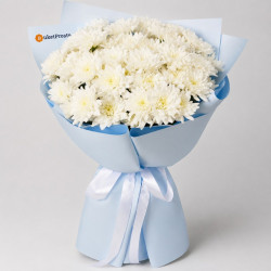 Букет из 9 белых кустовых хризантем